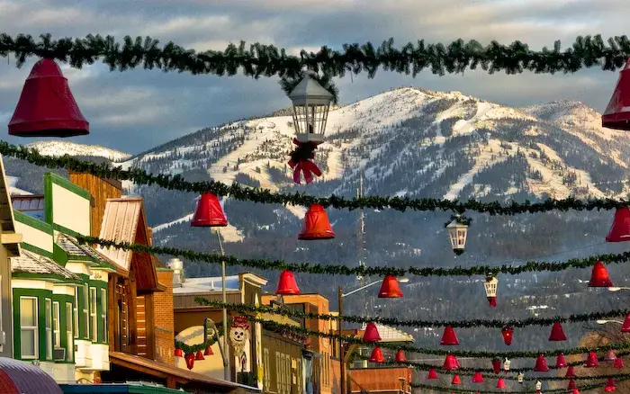 Whitefish