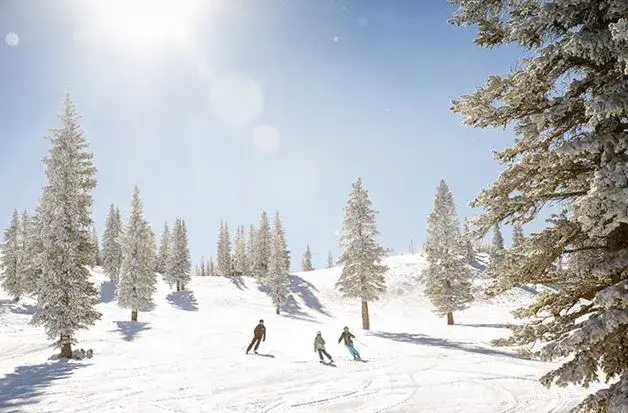 Snowmass Ski Area