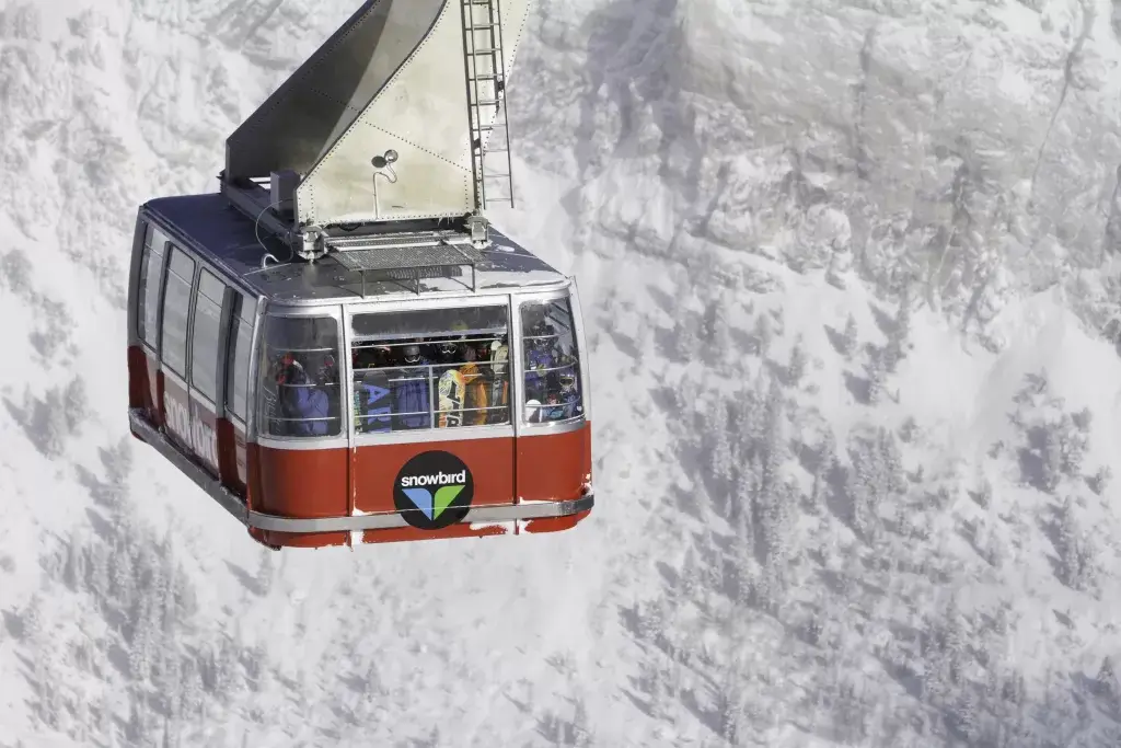 Snowbird