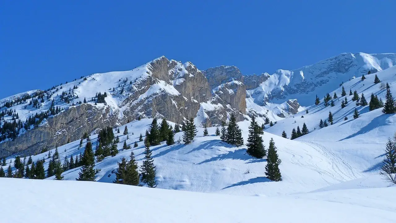 Snowshoe
