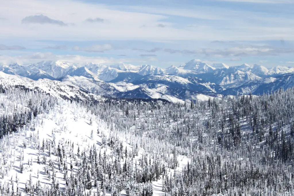 Whitefish Glacier views